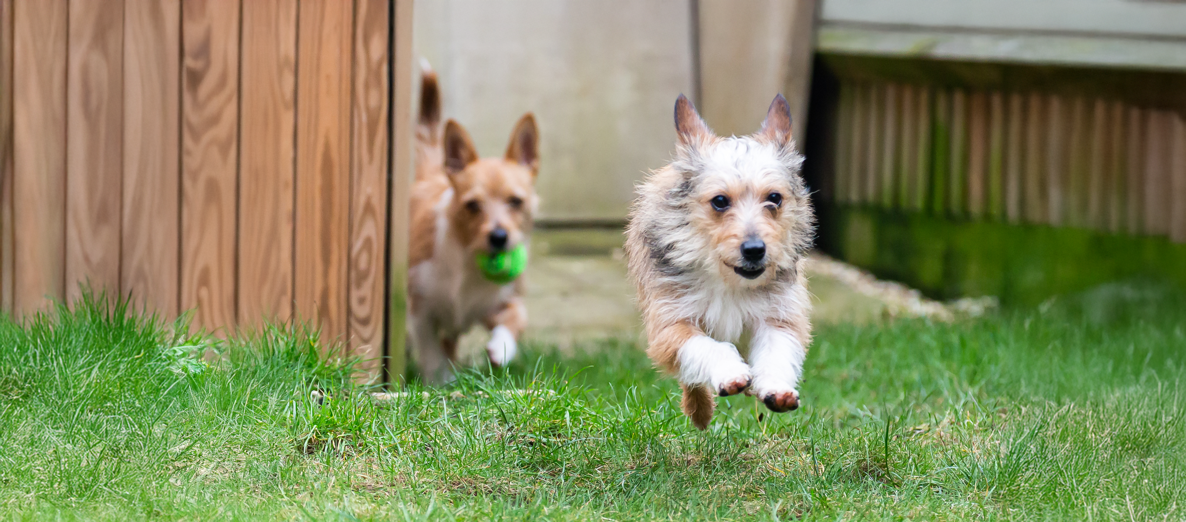 Two women sitting at a modern table talking with a city view behind them.
