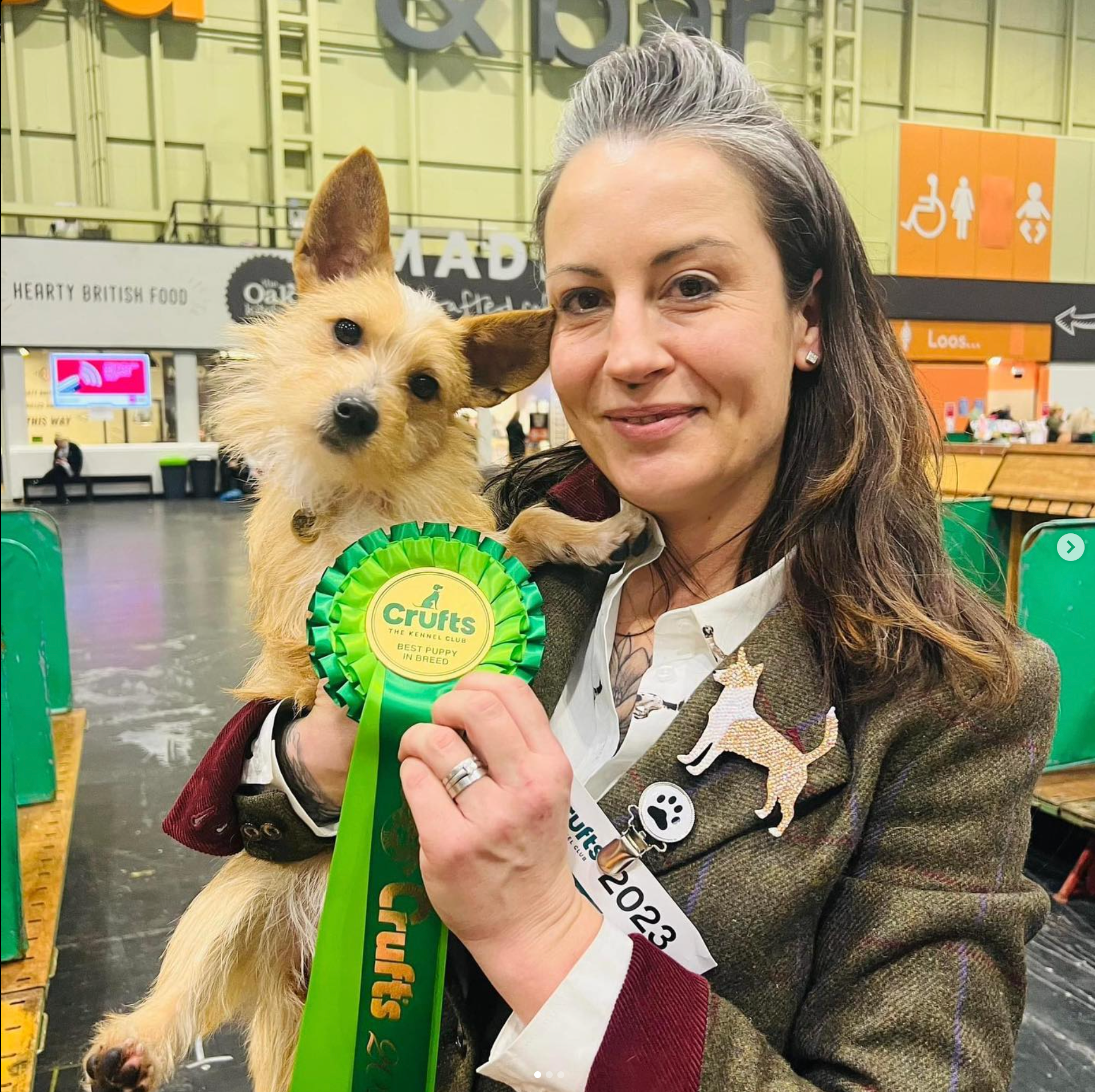 Crufts award